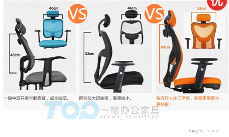 人體工學電腦椅的椅背.jpg